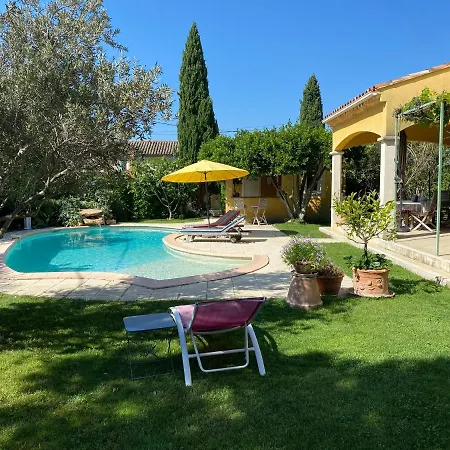 Bord De Piscine